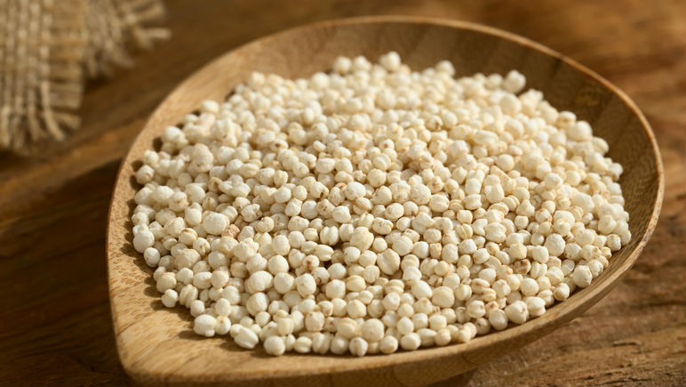 Quinoa Atlàntida